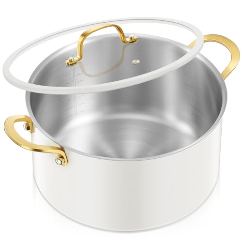 BEZIA Large Stainless Steel Stock Pot, 12 Quart Large Cooking Pot with Lid, Casserole with Lid, Even Heat Distribution, Induction Compatible Soup Pot, Ideal for Stews, Simmering & Soups