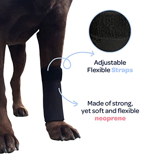 Labra Dog Canine Front Leg Compression Brace Wrap Sleeve, Protects Wounds, Braces, Heals, And Prevents Injuries And Sprains, Helps With Loss Of Stability Caused By Arthritis - Large/Extra Large #TOP3