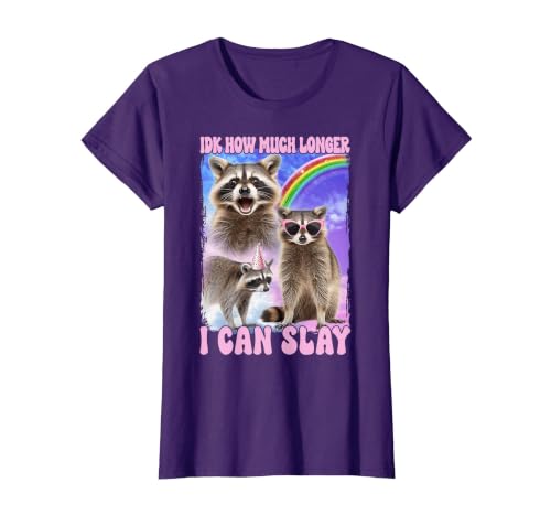 IDK How Much Longer I Can Slay Meme Raccoon Funny T-Shirt, Women, Purple, Large