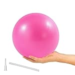 ElwynnLane 9 Inch Exercise Pilates Ball Mini Exercise Barre Ball for Yoga,Stability Exercise Training Gym Anti Burst and Slip Resistant Balls Physical Therapy Improves Balance