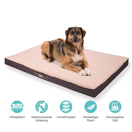 brunolie Balu Hundebett in Dunkelbraun, waschbar, orthopädisch und rutschfest, kuscheliges Hundekissen mit atmungsaktivem Memory-Schaum, Größe XXL (120 x 100 x 10 cm) Beige