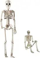 Esqueleto Humano Articulado, Cor Bege, Material Plástico, 40 cm, Modelo Anatômico Educacional, para Estudo e Demonstração