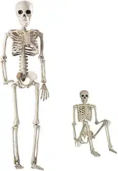 Esqueleto Humano Articulado, Cor Bege, Material Plástico, 40 cm, Modelo Anatômico Educacional, para Estudo e Demonstração