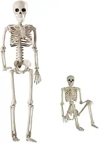 Esqueleto Humano Articulado, Cor Bege, Material Plástico, 40 cm, Modelo Anatômico Educacional, para Estudo e Demonstração