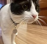 Kompatibel mit Sureflap Surefeed Microchip RFID Halsband-Tags Disc Key Ersatz (2 Stück)