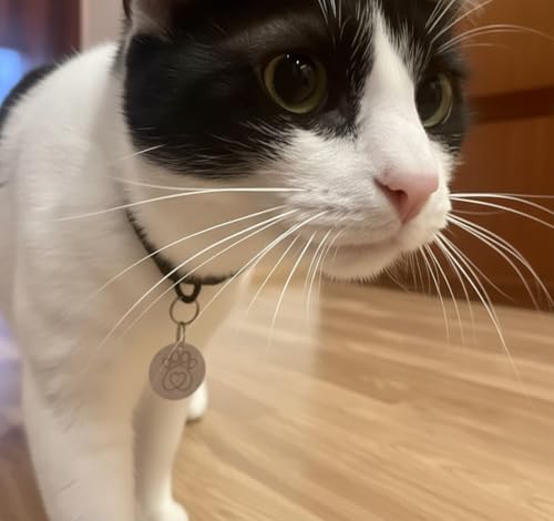 Kompatibel mit Sureflap Surefeed Microchip RFID Halsband-Tags Disc Key Ersatz (2 Stück)