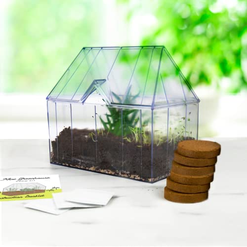 Mini Greenhouse Grow Kit - Comes With Everything To Start Growing Herbs