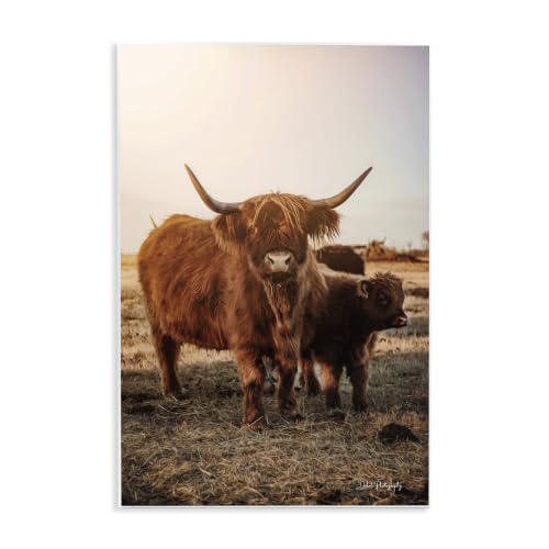 Longhorn Cattle Sunrise, 13 x 19 Inch Mounted Print on Wall Plaque
