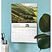 Carousel Worldwide, South Downs 2026 A4 Wall Calendar