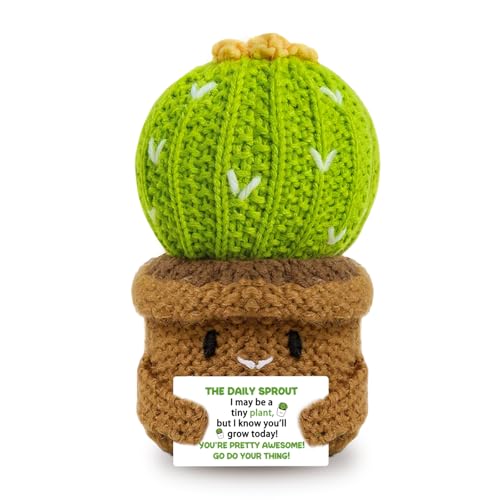 AICHPVOY Crochet Cactus Gifts for Best Friend, Birthday Gifts for Women Men