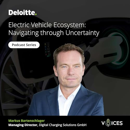 Electric Vehicle Ecosystem: Navigating through Uncertainty