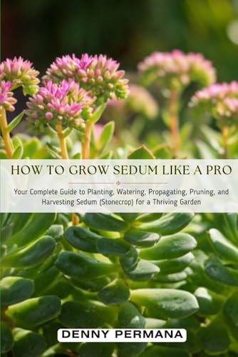 How to Grow Sedum Like a Pro: Your Complete Guide to Planting, Watering, Propagating, Pruning, and Harvesting Sedum (Stonecrop) for a Thriving Garden