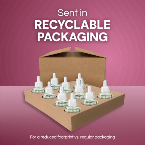 Image of Air Wick Plug-In Scented Oil Refills, 10 Count, Summer Delights, Air Freshener, Essential Oils, Eco Friendly
