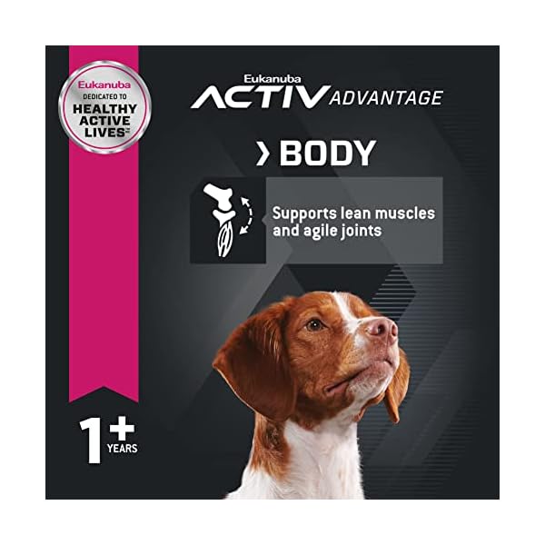 EUKANUBA Adult Lamb and Rice Formula Dog Food 30 Pounds EUKANUBA Adult Lamb and Rice Formula Dog Food 30 Pounds