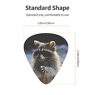 Médiators de guitare 12-Pack médiators mignons de raton laveur pour guitare électrique guitare acoustique diverses… - Les Beatles, Paul McCartney, John Lennon, RIngo Starr, George Harrison Médiators de guitare 12-Pack médiators mignons de raton laveur pour guitare électrique guitare acoustique diverses… – Image 3
