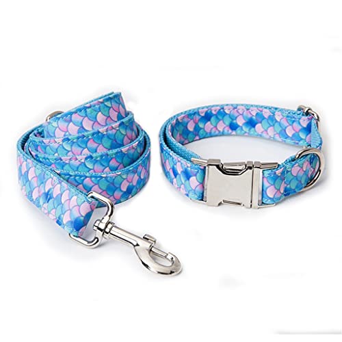 Home Dog Collars