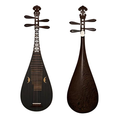 琵琶 楽器」の人気商品一覧 | 安い商品を通販サイトから探す - 価格.com