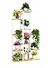 Produktbild CHOUCHOU Regal CZZ Metall Blumenständer, Pflanze Display Rack Garten Lagerregal / 11 Stück Topf Rack Garten Wohnzimmer Balkon 23.6X7.9X56.7In, Größe: Blume, Farbe: A (Color : A, Size : Flower)