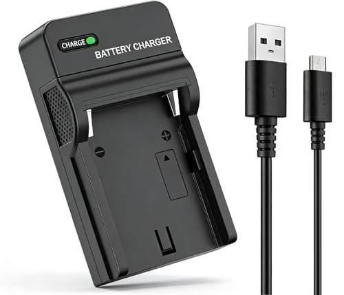 NB-11L NB-11LH �L���m���J�����p�[�d�� USB Type-C �}���݊��[�d�� PowerShot SX410 IS/A3500 IS/A4000 IS/A3400 IS/IXY 640/SX430 IS/IXY 420F/IXY 220F/I