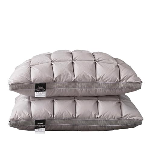Oreiller en plumes d'oie Feng Shui lit doux pour dormir cou