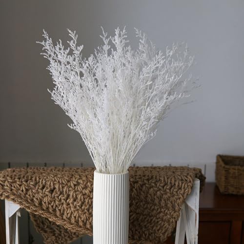 Flores preservadas Limonium para decoración natural miniatura 1