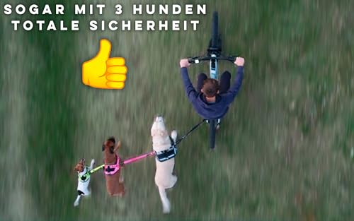 Hunde Fahrradleine und Hundegeschirr, Geschirr mit seitlichen Ringen, inklusive 2 speziellen Fahrrad-Kabelbindern. Patentiert. (Schwarz, L)