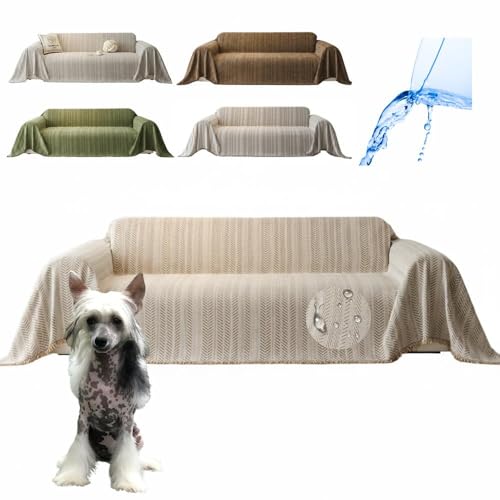 Lifetips `Cj[YENXebhEhbO \t@[Jo[ k  􂦂 h }`Jo[ 2l| 3l| It IȂ ~ Eh~ LΉ lGʗp ix[Wj i230180CMj