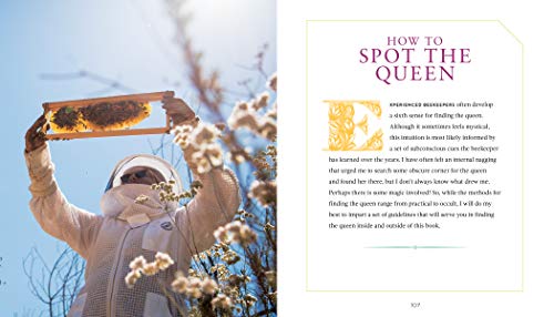 image for Storey Publishing, LLC QueenSpotting: Meet the Remarkable Queen Bee an