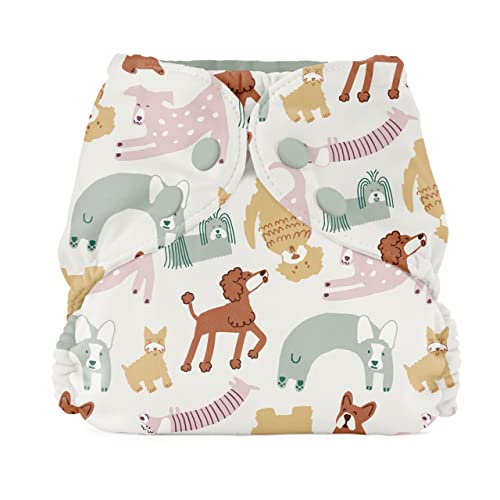 Esembly Cloth Diaper Cover - Reusable Swim Diaper, Waterproof, Breathable - Adjustable Outer Layer Over Absorbent Inner for Blowout Protection - Off-Leash, Size 2 (18-35lbs)