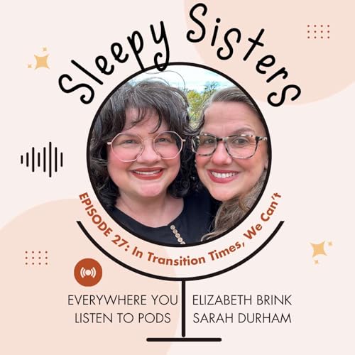 27 - In Transition Times, We Can't | Sleepy Sisters cover art
