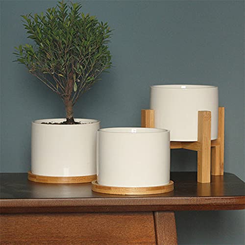 3 Pack Bamboo Saucer, 6 Inch Plant Saucer, 5" Cactus Plant Tray, Round Bamboo Tray For Modern Ceramic Flower Pot, Planter Pot Tray, Also Use Cup Holder, Spoon Holder, Kitchen Utensil Rest #TOP7