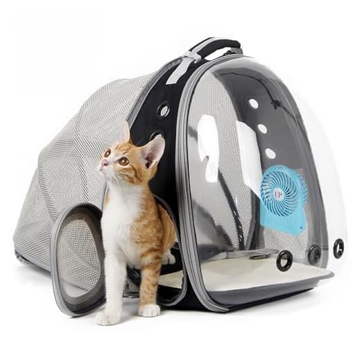 Cat Bubble Backpack with Mini Fan