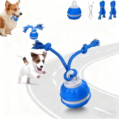 IIEFFJL Interactive Dog Toys for Small Dogs Peppy Pet Ball & Chase Buddy Dog Toy Active Rolling Puppy Toys to Keep Them Busy Daily Training Interactive Puppy Toys