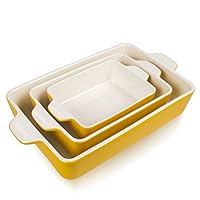 SET DI 2 teglie per torte padella per lasagne per la casa padella per