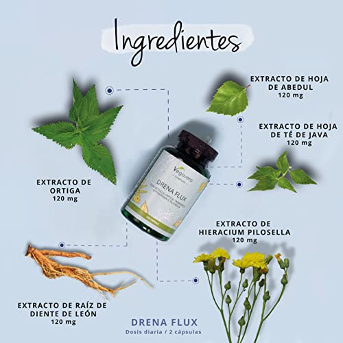 DIURETICO POTENTE Vegavero® | Retención de Líquidos + Drenante | 4 MESES | Diente de León + Ortiga Verde + Ortosifon | Altamente Concentrado | DETOX Depurativo | Sin Aditivos & Vegano DIURETICO POTENTE Vegavero® | Retención de Líquidos + Drenante | 4 MESES | Diente de León + Ortiga Verde + Ortosifon | Altamente Concentrado | DETOX Depurativo | Sin Aditivos & Vegano