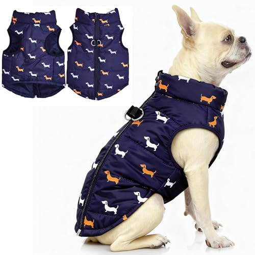 Asmea Cappottino Cane Taglia Piccola Caldo Giubbotto Cane Antivento Giacca per Cani con Anello a D sul Retro Invernale Natale Cappotto Cani Taglia Media Blu M