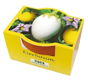 Bull & Bear Mini Eierbaum Anzuchtset