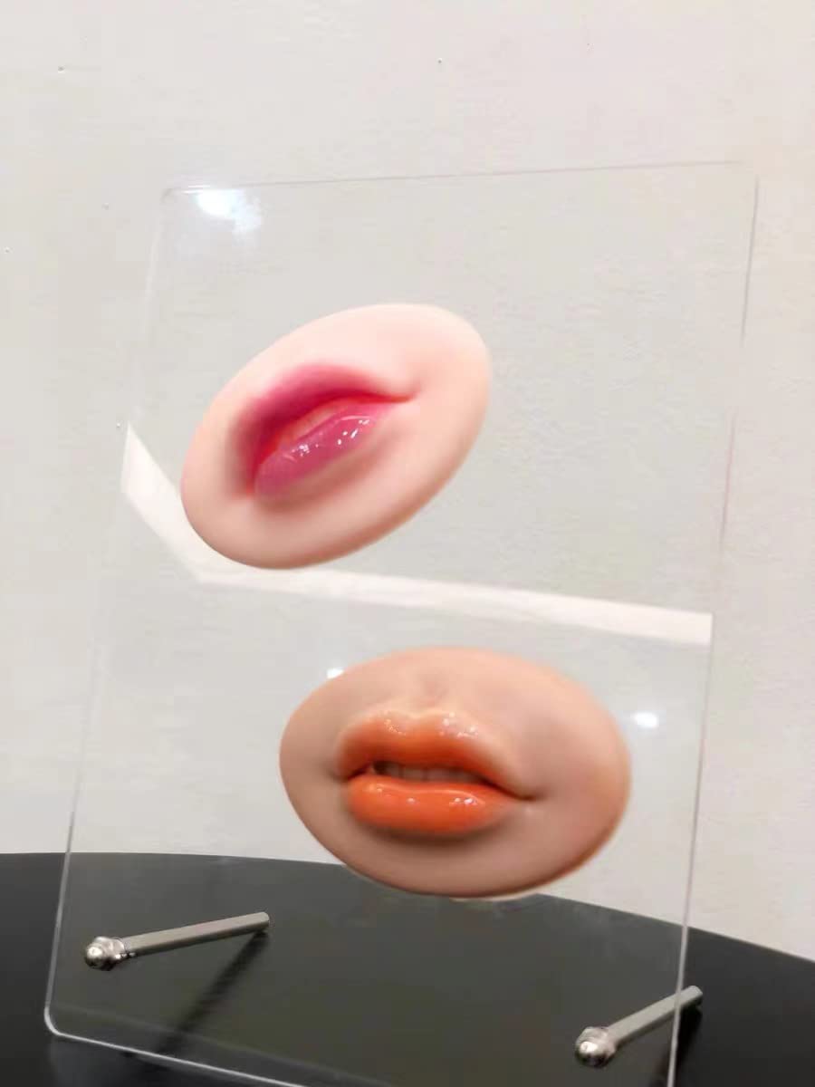 3D-Silikon-Lippen, realistisch, hochwertig, weich, permanent, Make-up,  Tattoo, Microblading, bung, Haut, knstliche Lippen fr Piercing-bungen,  3 ...