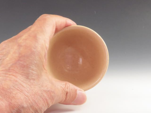 Amazon.co.jp: 赤膚焼（奈良県） 正人窯 酒器 ぐい呑 伝統の奈良絵