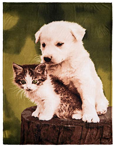 【ᐅᐅ】Decke Mit Katzenmotiv - Top 7 Modelle unter der Lupe!