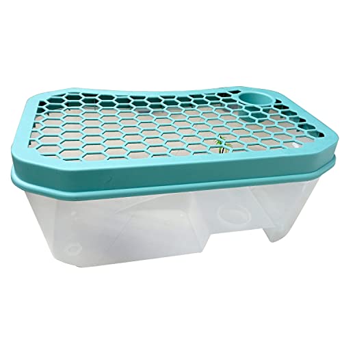 Image of Jainsons Pet Products Turtle Tank Aquarium 2 Feet (D-14) | Basking Platform, Swimming & Hibernation Area | Turtle Habitat Accessories Not Included (Assorted)
