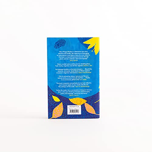 Small Bodies of Water