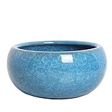 bonsai outdoor display 🌷[Beste Dekoration] Diese blauen Keramik-Blumentöpfe können mit süßen Sukkulenten, Kakteen, Kräutern oder Bonsai-Bäumen gefüllt werden, dekorieren Sie Ihr Schlafzimmer, Fensterbank, Bücherregal oder Garten, arrangieren Sie Ihr eigenes kleines Zuhause, und vielleicht das Leben wird einen großen Unterschied geben.