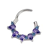 REITINGE Elegantes y elegantes anillos de nariz de amatista con incrustaciones de circonita en tono dorado, accesorio de joyería de moda para estilos sofisticados, ropa de nariz de moda, 1.2 8, como