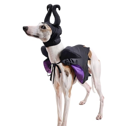 Disfraz Halloween para Perro Vampiro con Capa y Cuernos miniatura 6