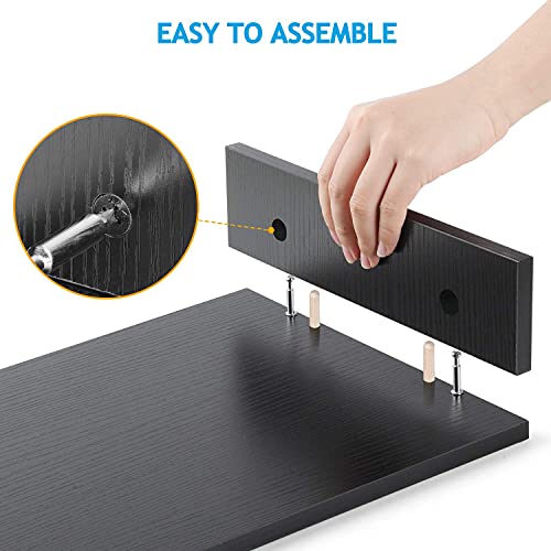 LORYERGO Monitor Stand - Monitor Stand Riser with 2 Tier Shelf, Desktop Organizer, Computer Monitor Stand for Screen, Laptop, Printer, Bookshelf for Home & Office