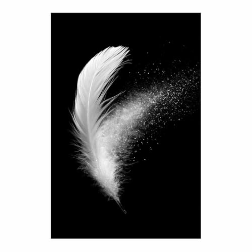 Affiche noir et blanc avec art de plumes blanches HOQIU sans cadre 80x120cm pour salon