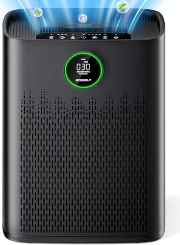 Air Purifier for Large Rooms HAP603, Smart Mode, 2400 ft²