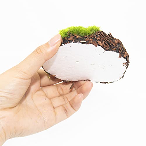 X Hot Popcorn 12Pcs Artificial Rock For Moss,Foam False Moss Green Moss Balls Moss Covered Stones For Garden Decor Diy Floral Arrangements Plant Poted Decoration, 3 Size #TOP6