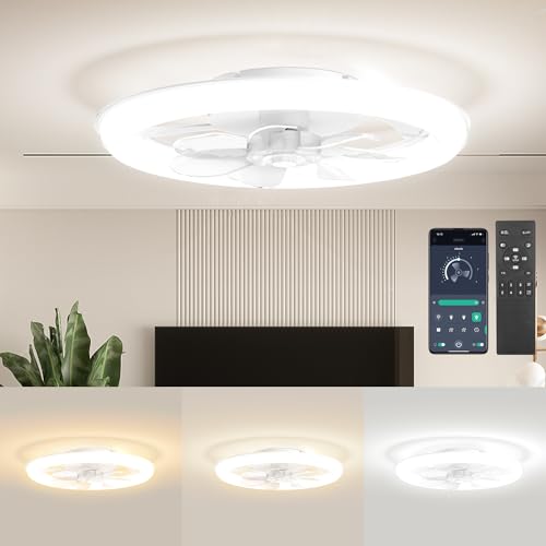 HaoDrisk Ventilatore da Soffitto con Luce e Telecomando, 88W Silenzioso Lampadario Ventilatore da Soffitto Dimmable 3 Colore e 6 Velocità DC Reversibile, LED Plafoniera Lampada Timer 50CM